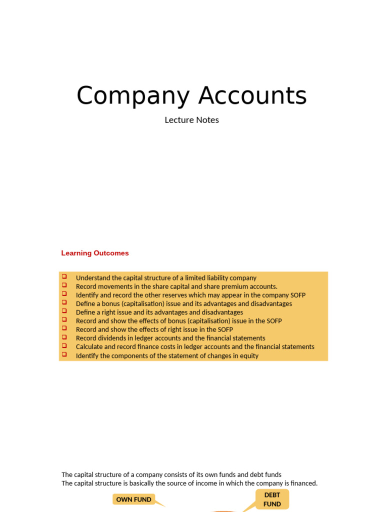Company Accounts | PDF
