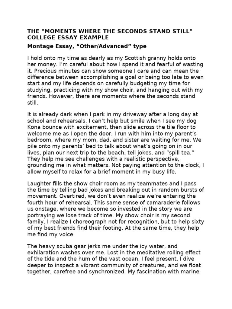 Second Essay | PDF