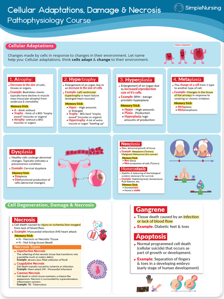 1 cellular adaptations damage necrosis pdf