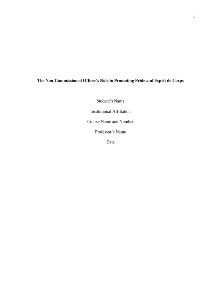 The non commissioned officer s role in promoting pride and esprit de