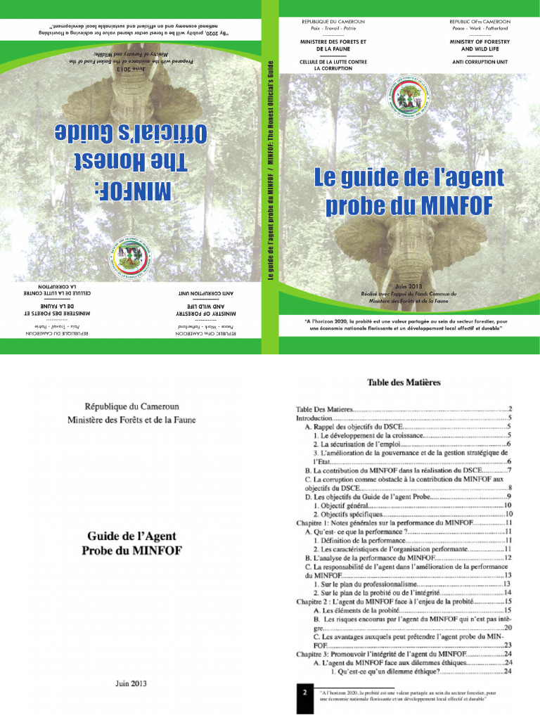 Guide de L'agent Probe MINFOF - Francais | PDF