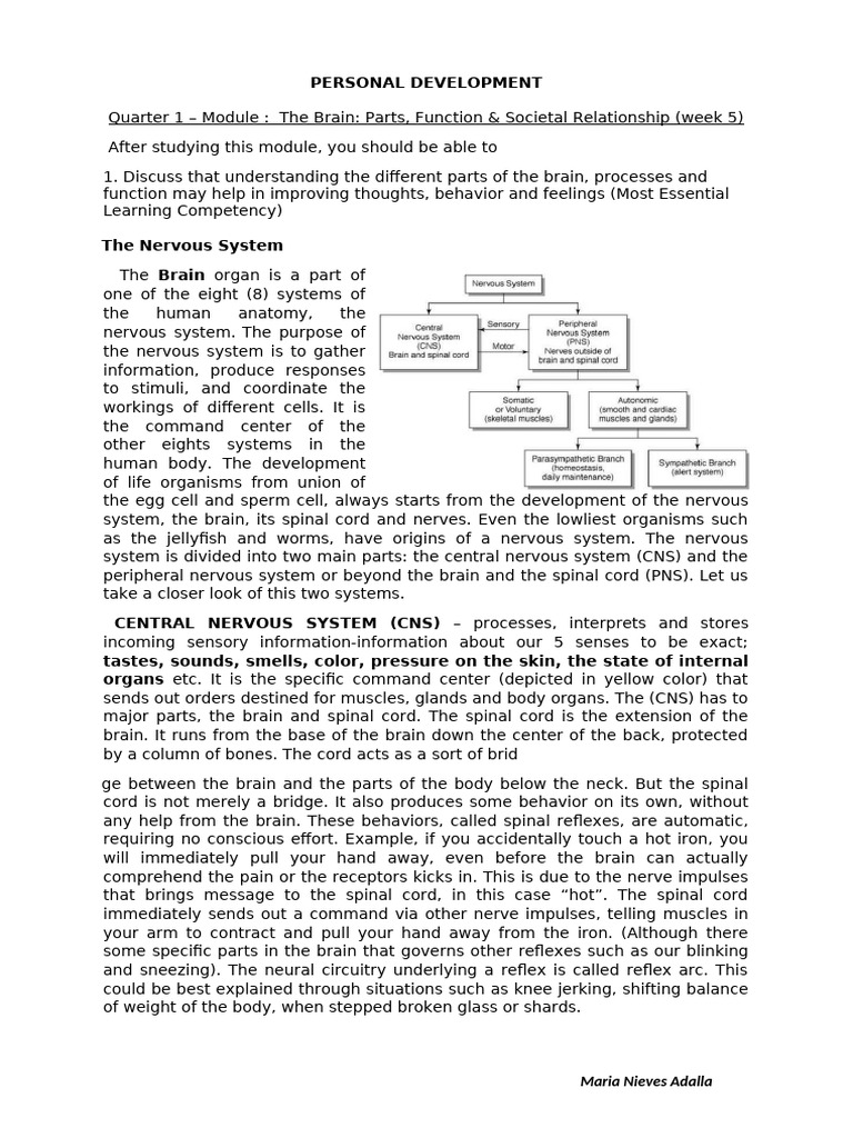 Perdev Summary Lessons 5 7 | PDF