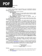 N4 Pilhas e Suas Alternativas