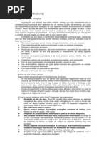 N5 Proteger Os Animais Selvagens