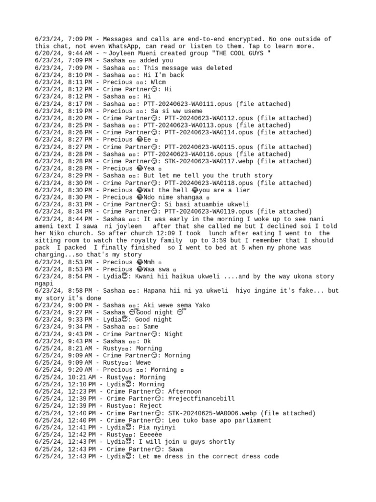 whatsapp-chat-with-the-cool-guys-pdf