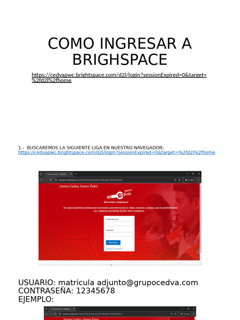 Zapping Ingresar A Correo