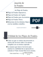 Determinacion de Flujos de Fondos