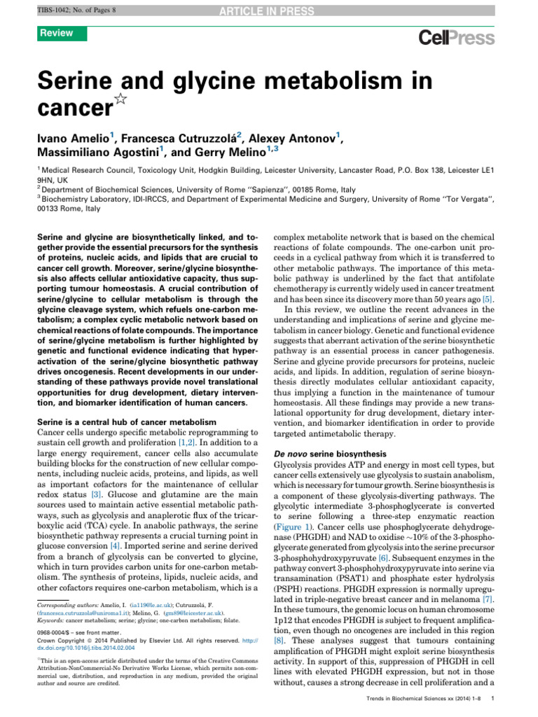 Serine Metabolism in Cancer Review | PDF