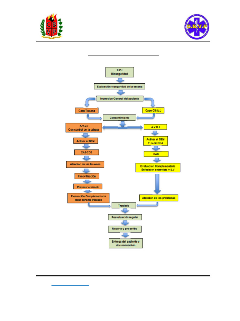 Flujograma de APHB y Protocolo de APHB T CBVP 2022 - Corregido | PDF