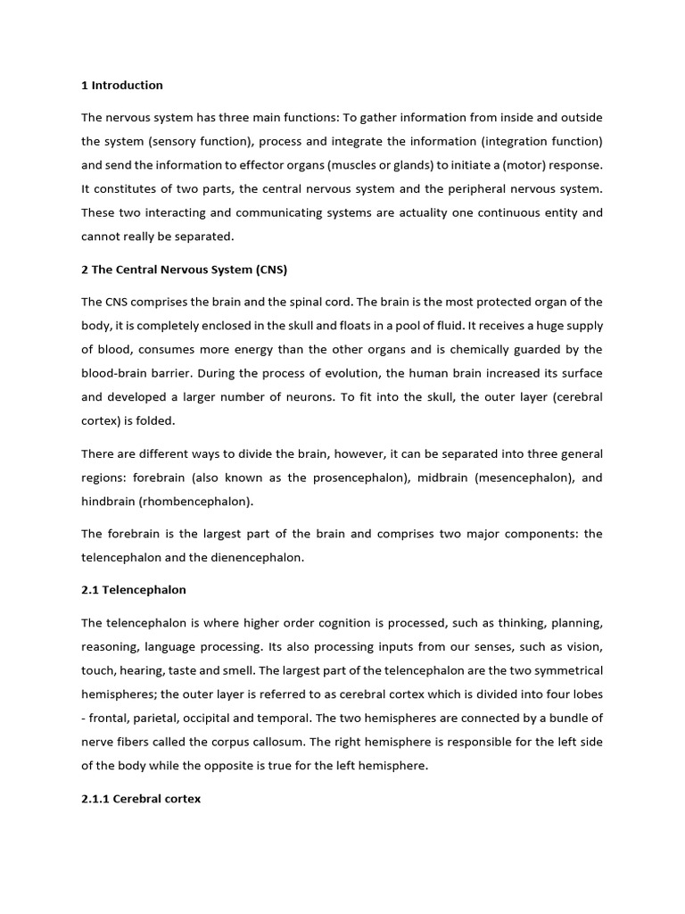 Script - Central Nervous System | PDF