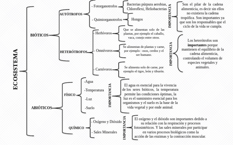 Cuadro Sinoptico Del Ecosistema | PDF
