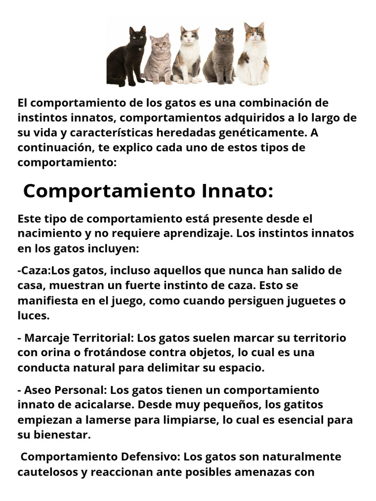 Trabajo de ETOLOGIA, Gatos. | PDF | Comportamiento | Hogar, jardinería y  bricolaje, image size:768x1024