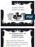 Pabellones Auriculares