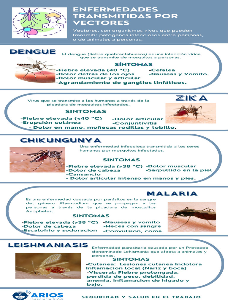 Enfermedades Transmitidas Por Vectores | PDF