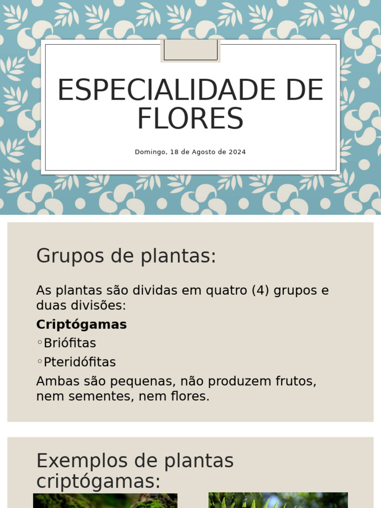 Especialidade de Flores | PDF