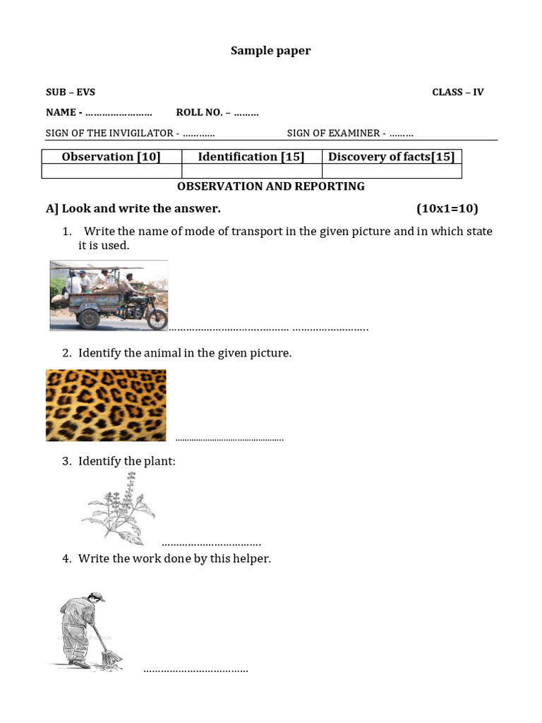 Evs Half Yearly 4 Pdf Bees