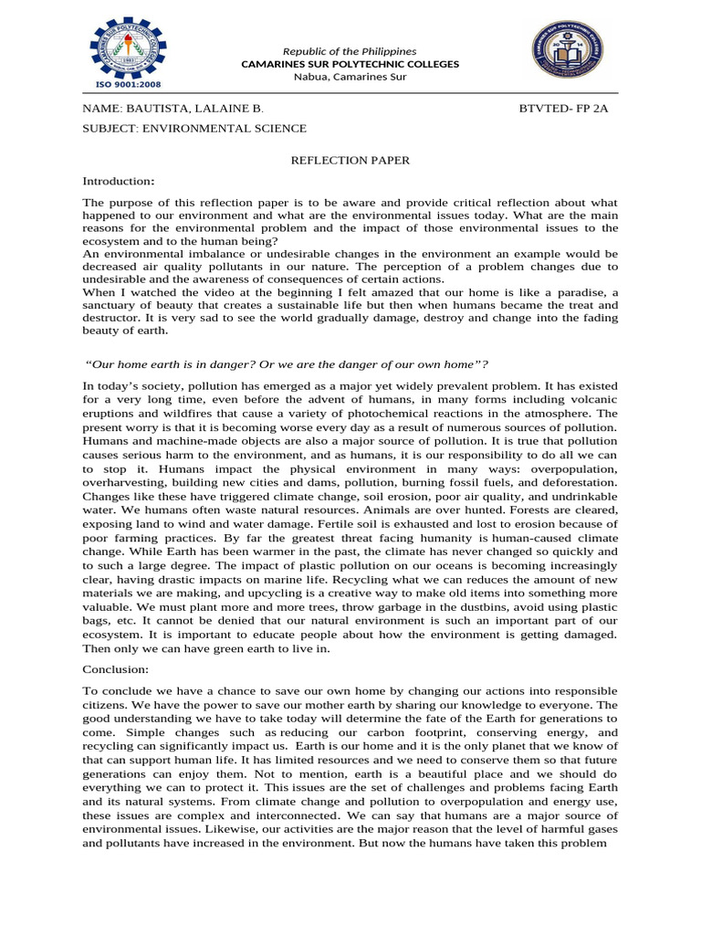 Reflection Paper | PDF