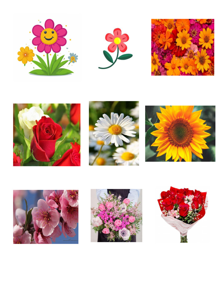 Flores y Frutas | PDF
