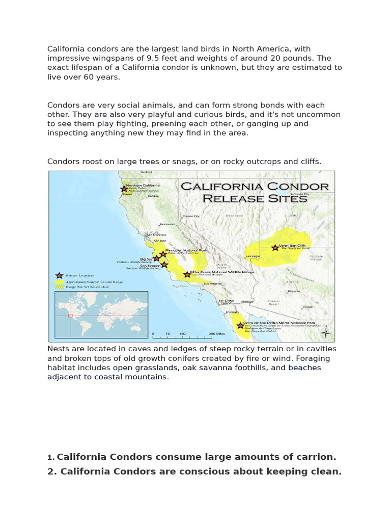 California Condors Are The Largest Land Birds in North America | PDF
