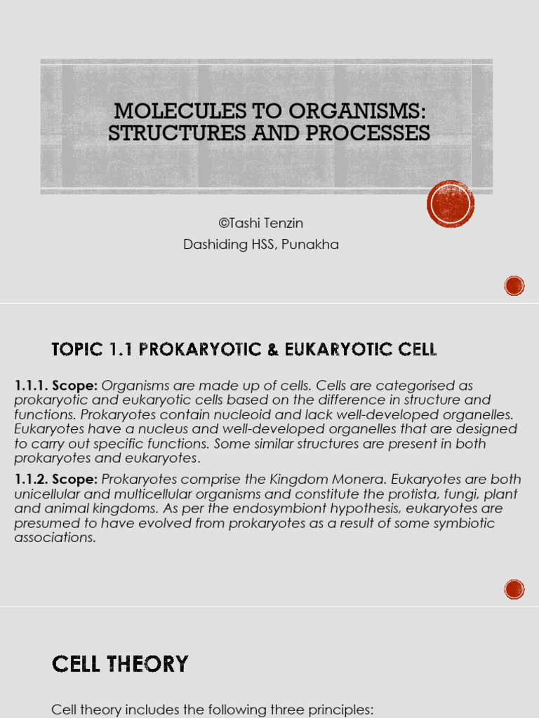 1 1 Prokaryotic Vs Eukaryotic Cells PDF Cell Biology Science 