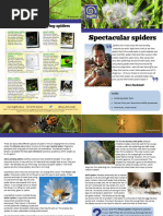 Common Spiders of Alberta | PDF | Spider | Arthropods