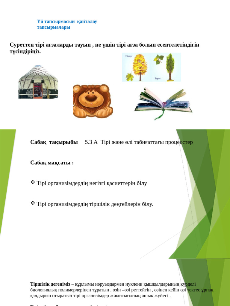 Қара шұлық киген қыздар