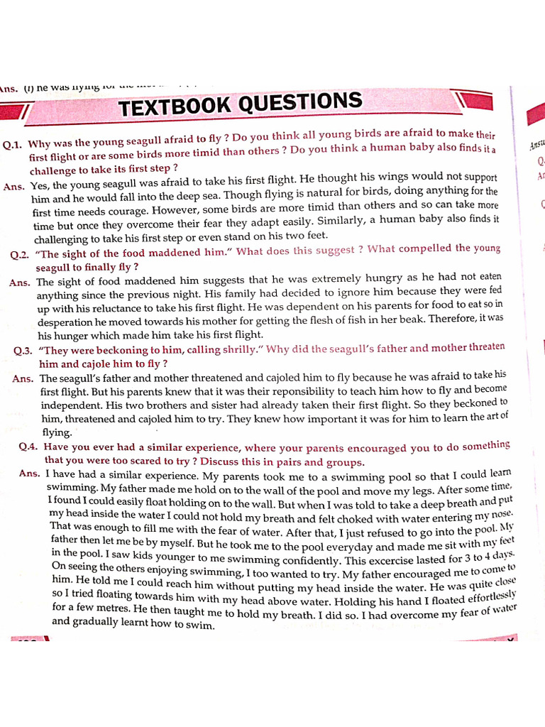 subject-english-chapter-3rd-his-first-flight-pdf