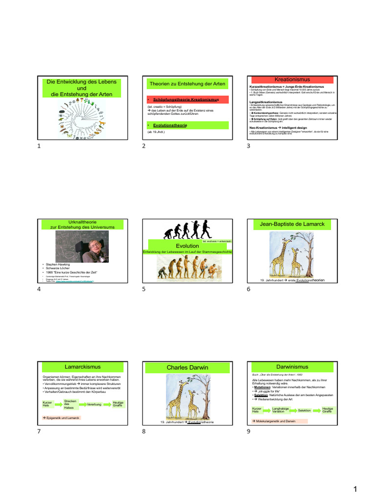 0 Evolution Handout 2023 NEU | PDF