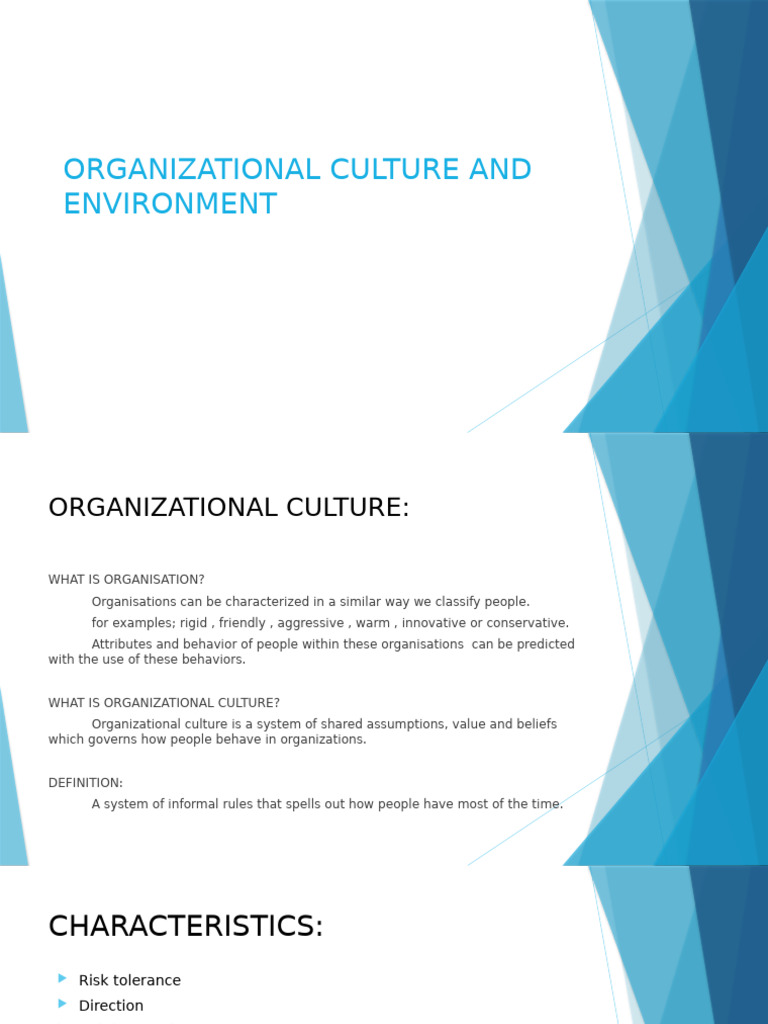 Organizational Culture | PDF