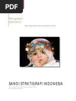 Download Sandi Stratigrafi Indonesia Complete Edition by Iantony Adrianus Siregar SN77587612 doc pdf