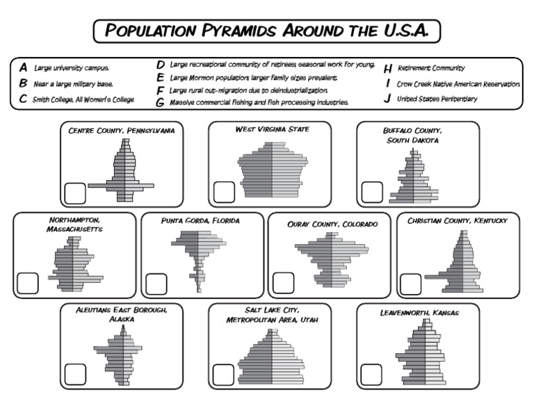 *Population Pyramid USA Mix Match | PDF