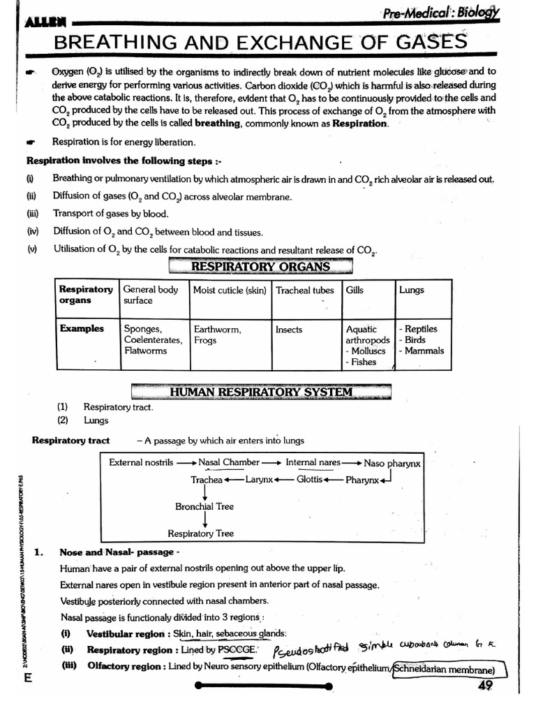 Respiration Complete Module - Allen | PDF