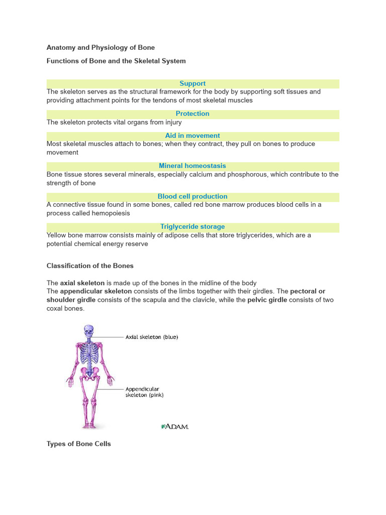 Summary Topic 4 | PDF