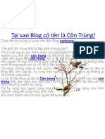 T I Sao Blog Có Tên Là Côn