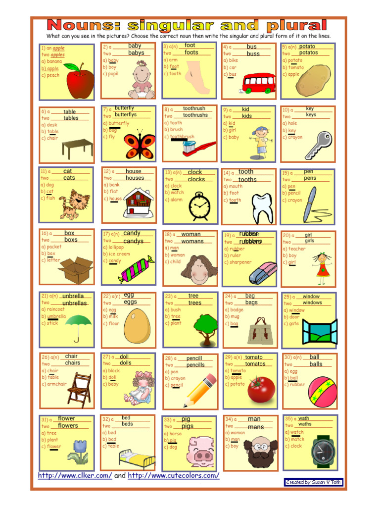 Edited Latihan Singular And Plural Noun 2 Pdf Linguistic Morphology