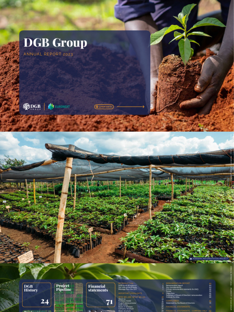 DGB+Group Annual+Report+2023 v2 | PDF