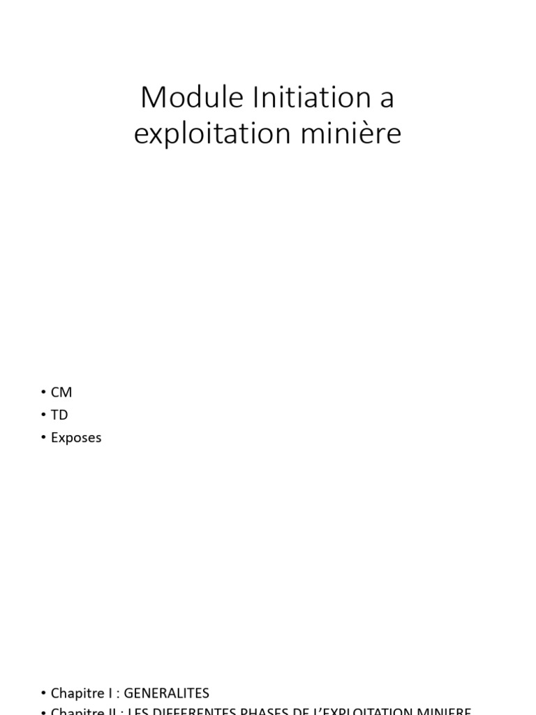 Module Initiation A Exploitation Minière | PDF