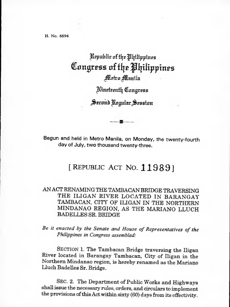 Ra 11989 | PDF