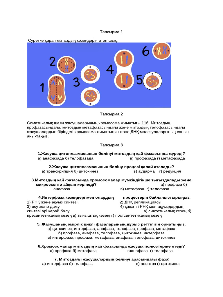Қыстың кешінде жыныстық қатынас