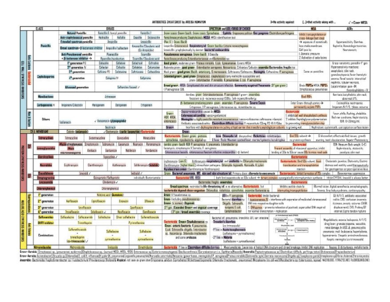 Antibiotics | PDF