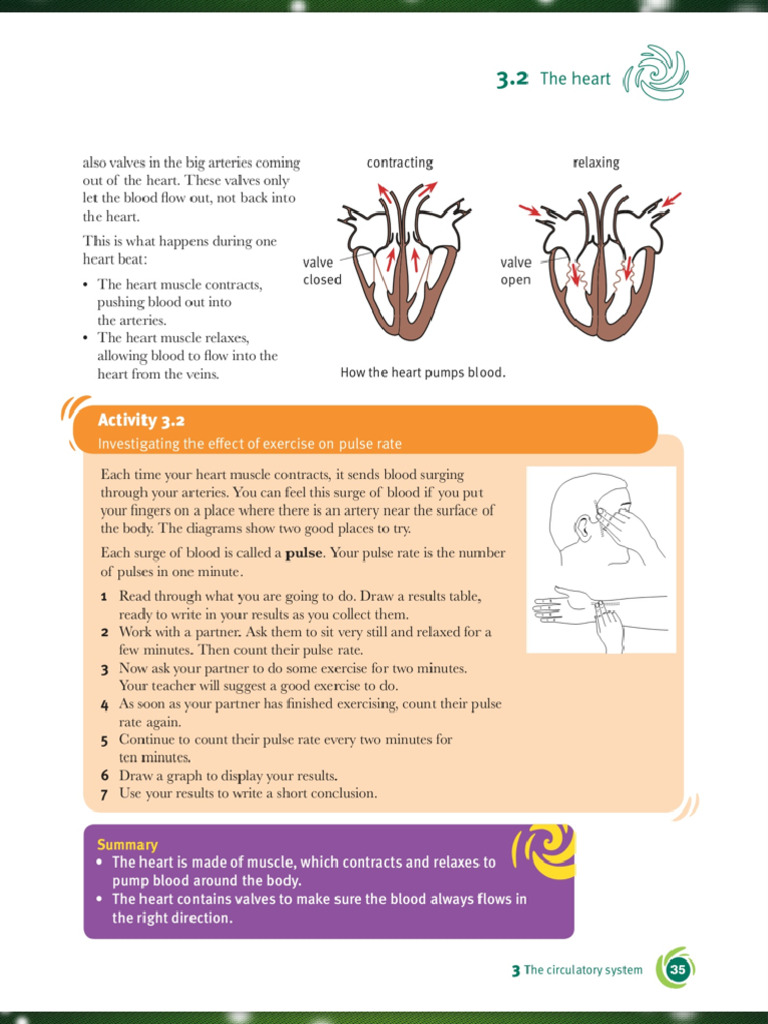 Cambridge Checkpoint Science Coursebook 8