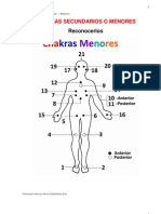 21 Chakras Menores Norma Castelblanco Grau