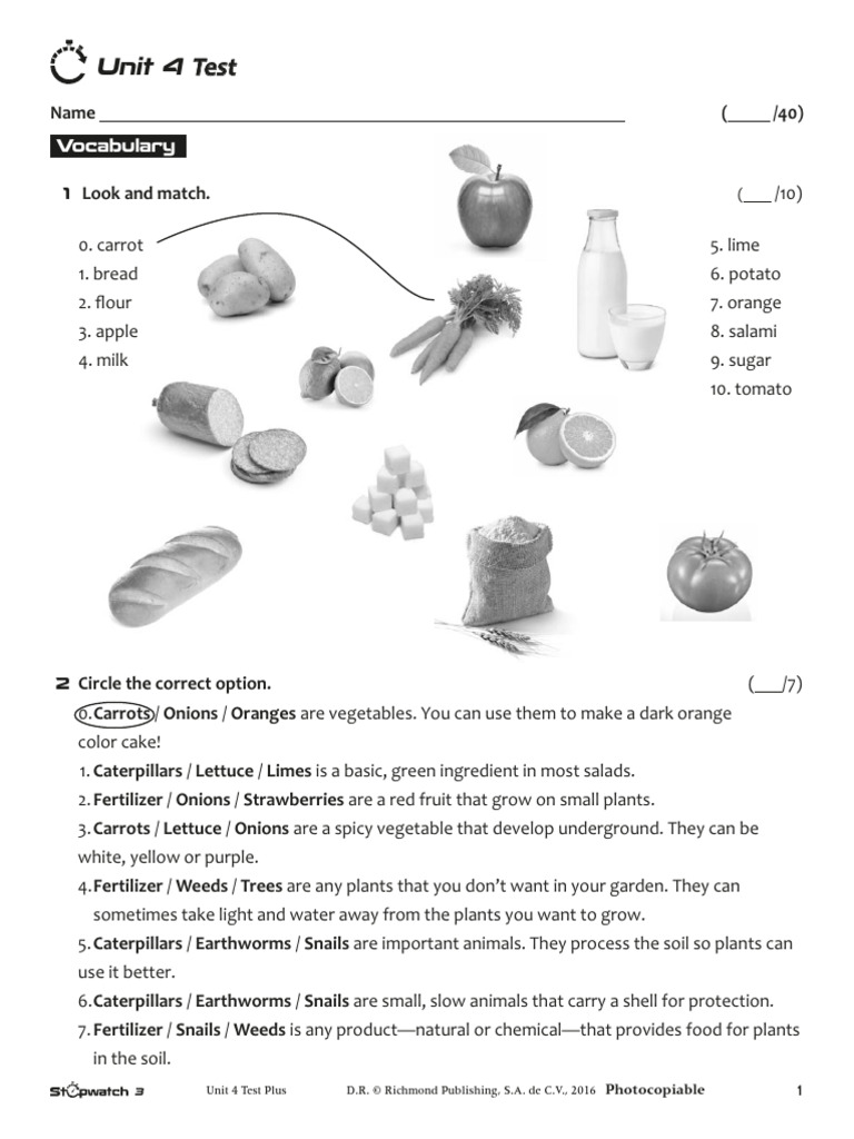 Stopwatch 3 Test Plus U4 | PDF