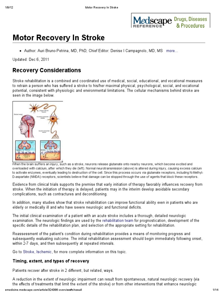  Motor  Recovery  in Stroke  Anatomical Terms Of Motion 