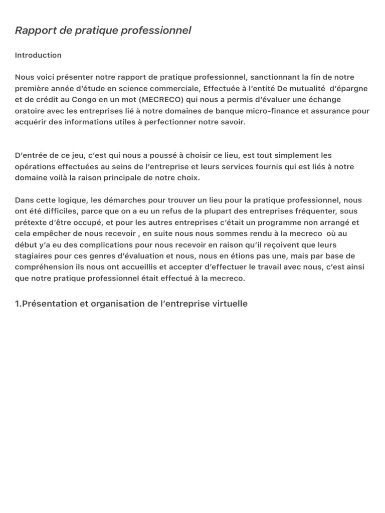Rapport de Pratique Professionnel | PDF