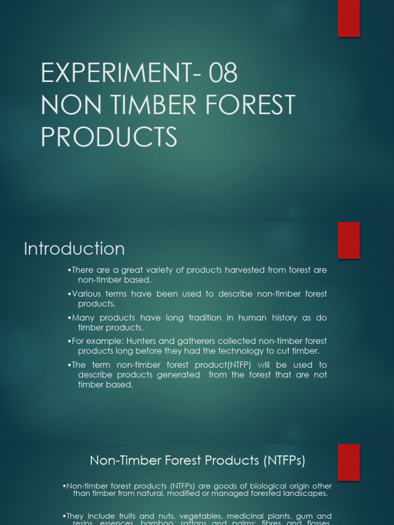 Exp 08-NTFPs | PDF