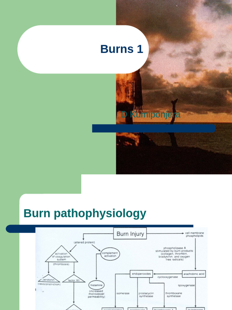 Burns- A&E Module | PDF