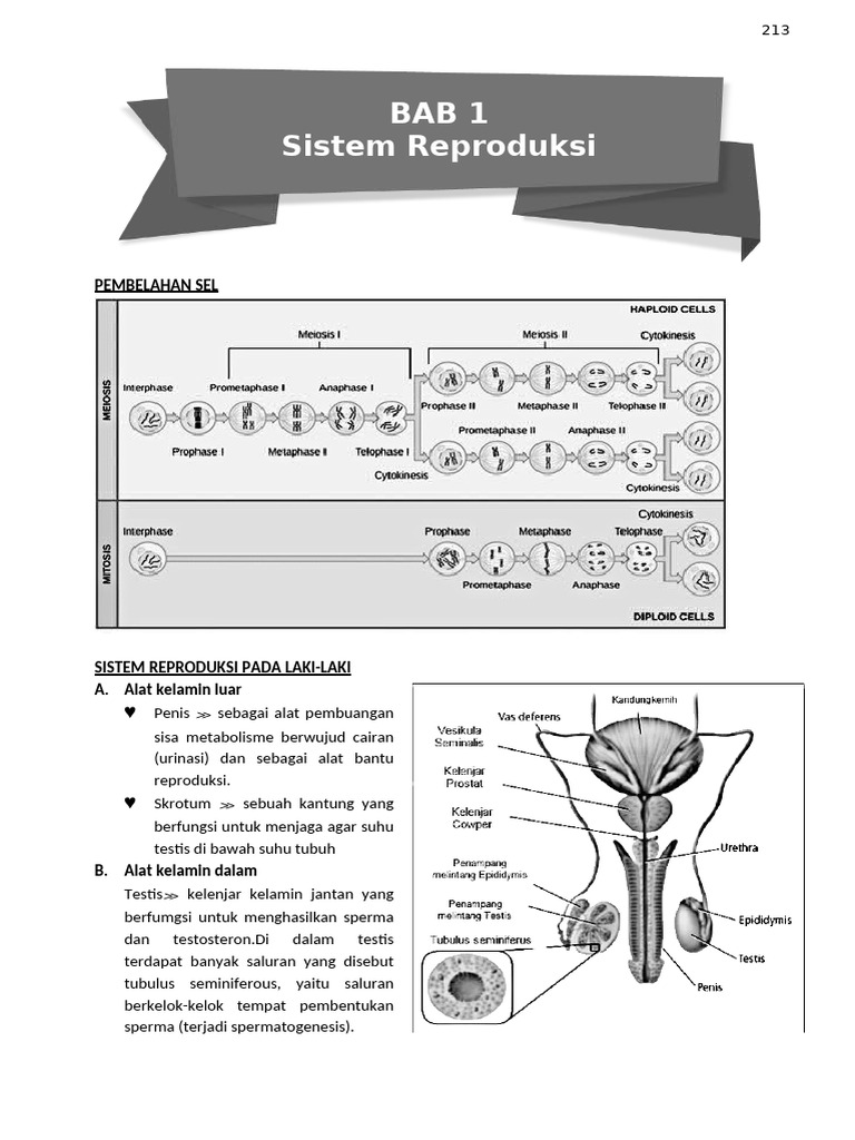 9 Bio K13 Rev 2017 - 2018 | PDF