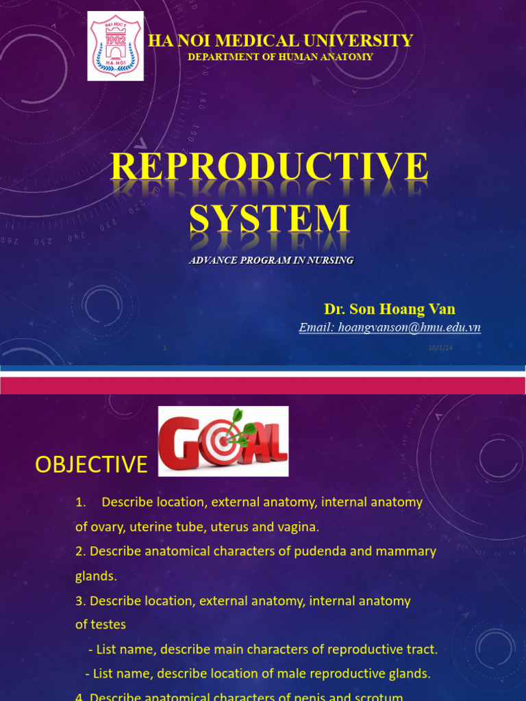 Reproductive System Fixed | PDF