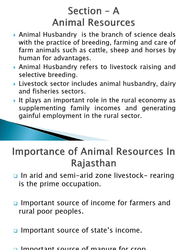 Rajasthan Geography Livestock | PDF